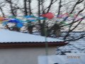 Karneval na lade   217